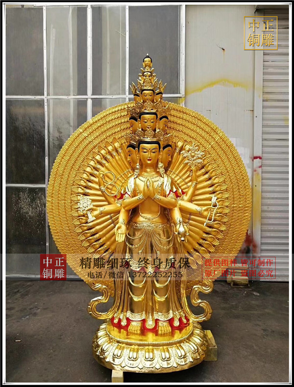 IMG_9116.jpg IMG_9116.jpg